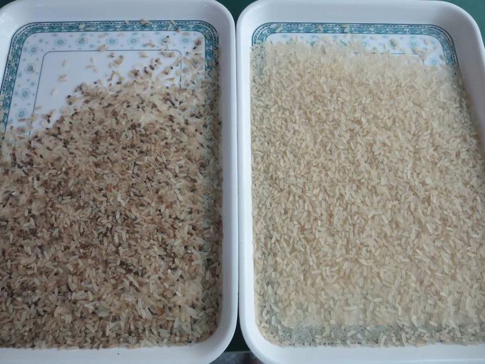 Trieuse de couleur de riz de CCD, trieuse de couleur, sélecteur de couleur pour le grain, céréale, blé, maïs, arachide,