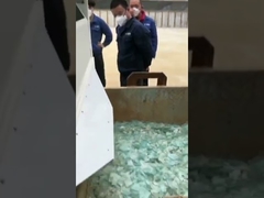 Type machine de séparateur de trieuse de couleur de ceinture de CCD pour le verre