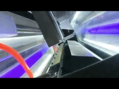 Machine de séparation de trieuse de couleur de noyau de noix